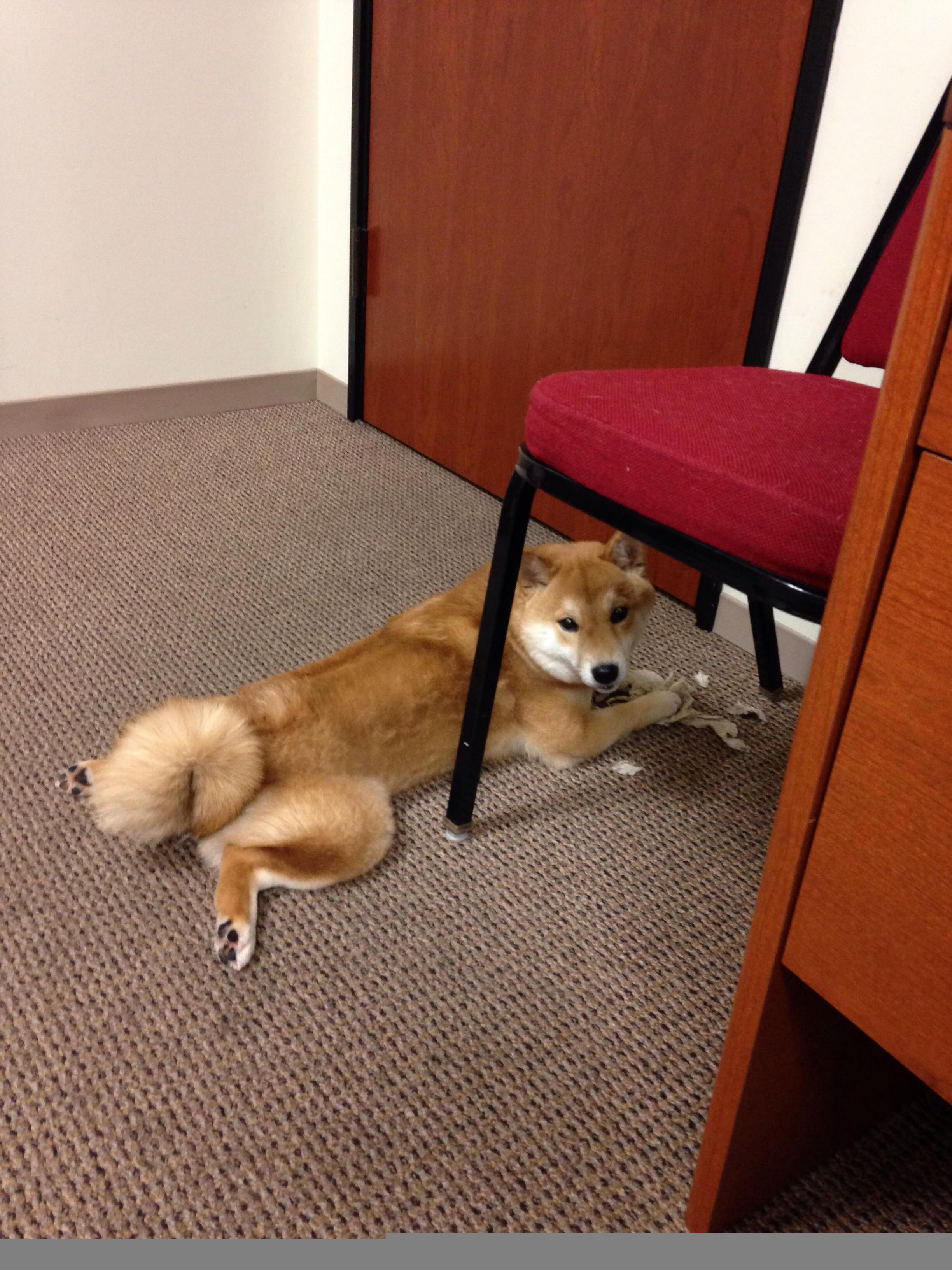 哈登客场变主场！北京队惨成背景板，中国篮球该醒醒了